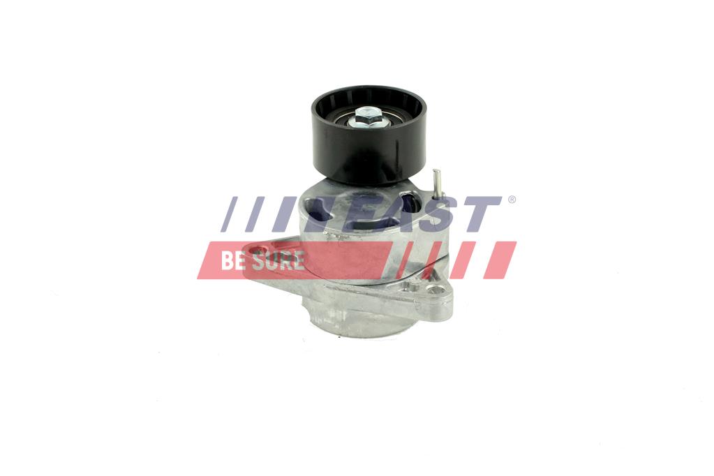FT44662 MICRO BELT TENSIONER RENAULT MASTER II 98> SET 2.5 dCi