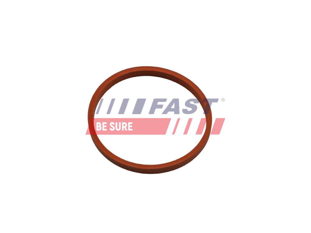 FT48932 GASKET RENAULT KANGOO II 08> TURBOCHARGER HOSE