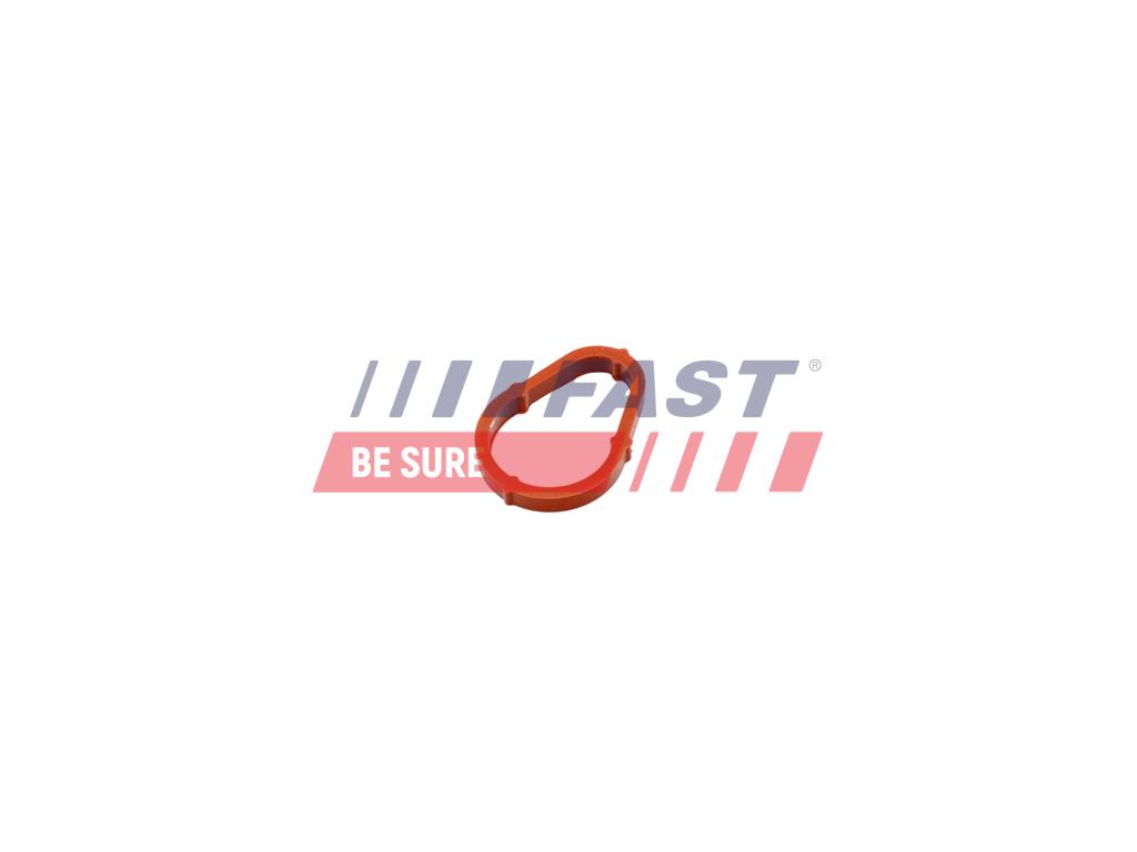 FT50702 VACUUM PUMP SEAL GASKET CITROEN NEMO 07> 1.4HDI