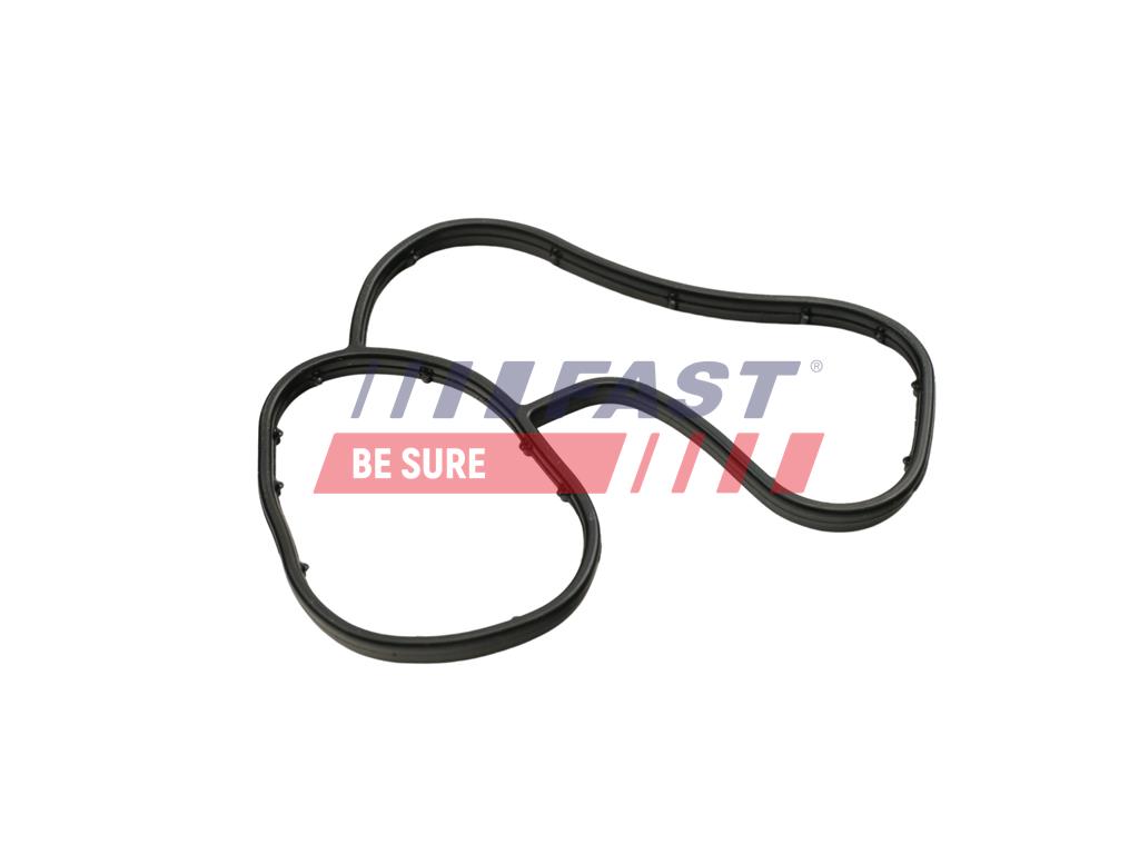 FT48941 GASKET RENAULT MASTER III 10> OIL COOLER