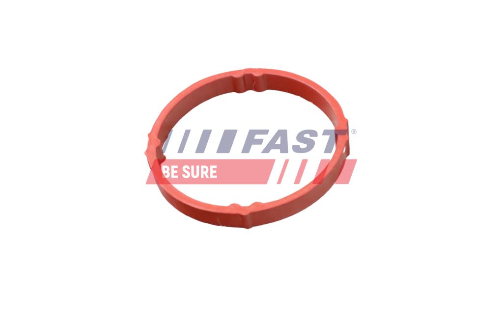 FT48958 GASKET DACIA DOKKER 13> OIL BREATHER HOSE 1.5 BLUEDCI