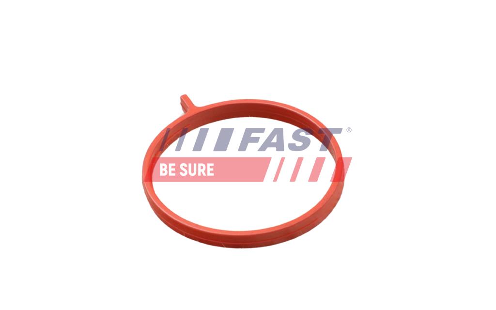 FT48959 GASKET FIAT DOBLO 00> OIL BREATHER HOSE 13> 1.6 JTD