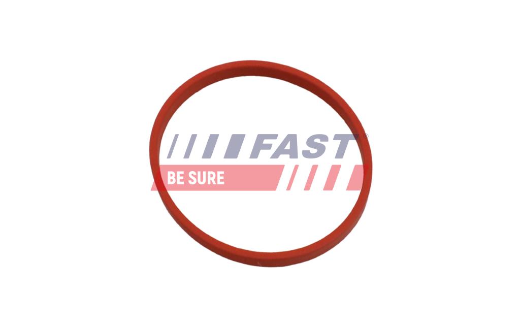 FT49868 SEAL RENAULT KANGOO II 08> EGR PIPE 1.5 DCI