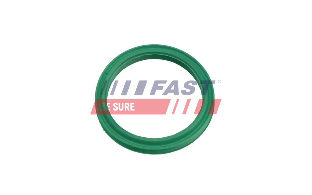 FT48962 GASKET DACIA DOKKER 13> TURBOCHARGER HOSE 25X25