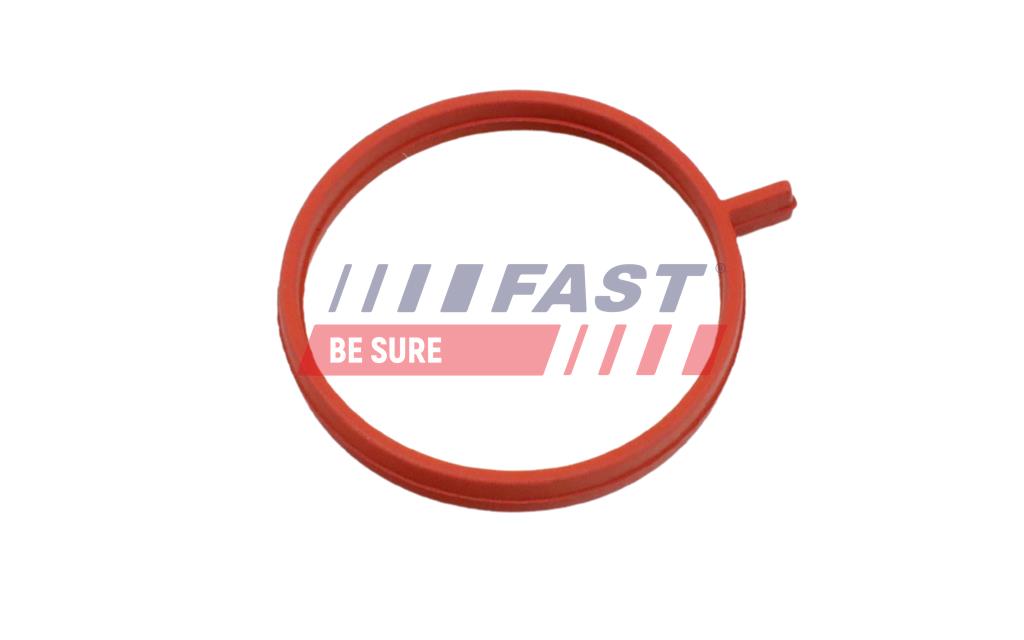FT48963 GASKET FIAT DOBLO 09> TURBOCHARGER HOSE