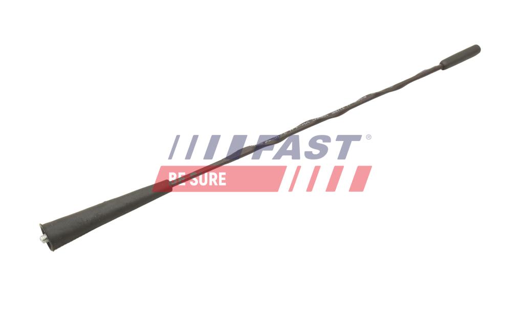 FT92522 ANTENNA RENAULT KANGOO II 08> 30 CM M6