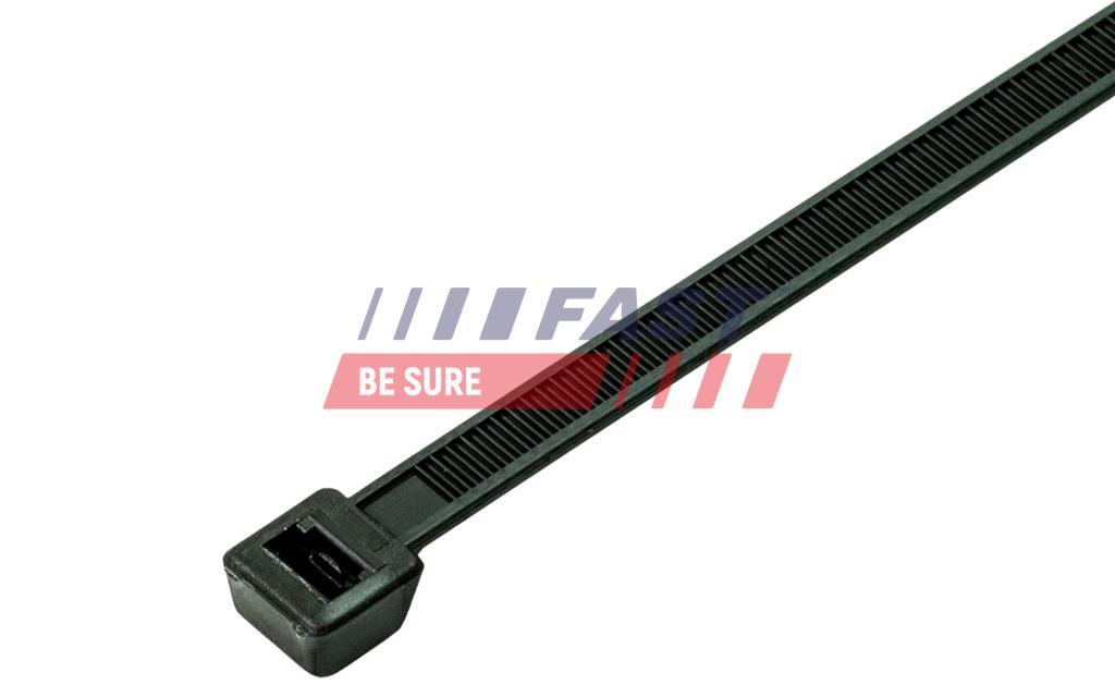 FT11479 CLAMP - PLASTIC  250 X 4,8 MM (100 PSC)