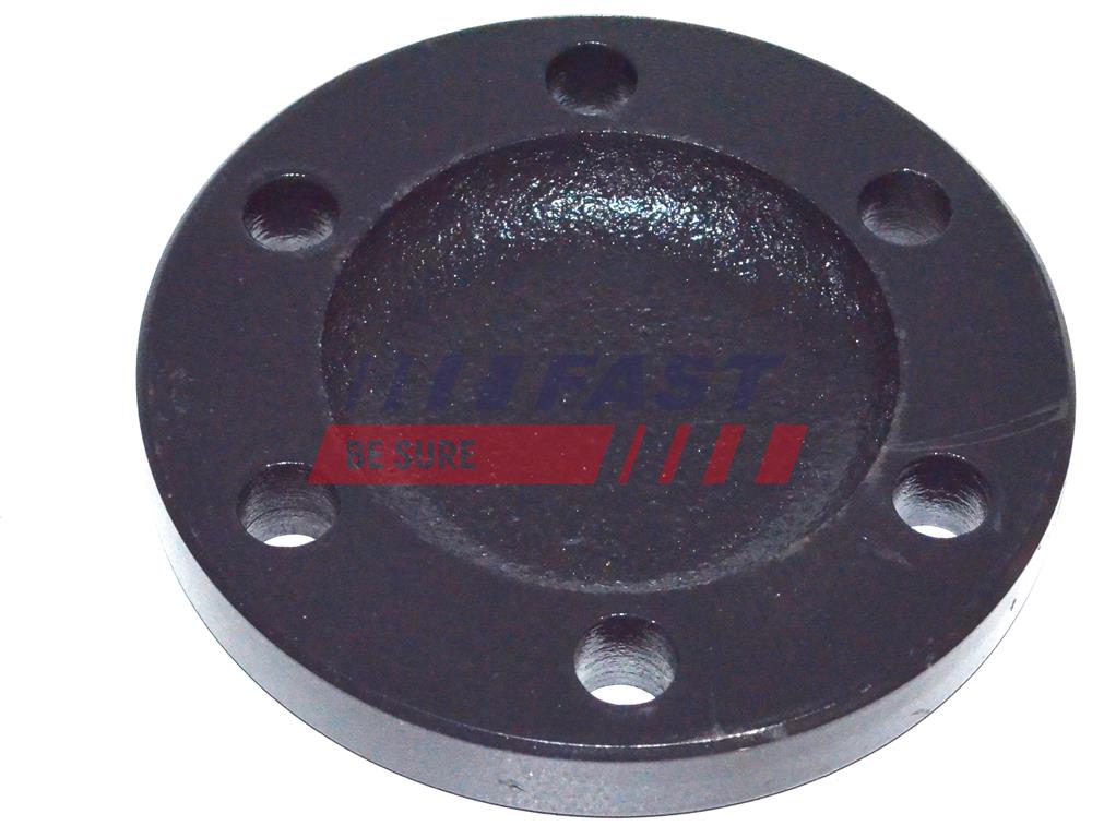 FT23057 WHEEL BEARING CAP IVECO DAILY 00>