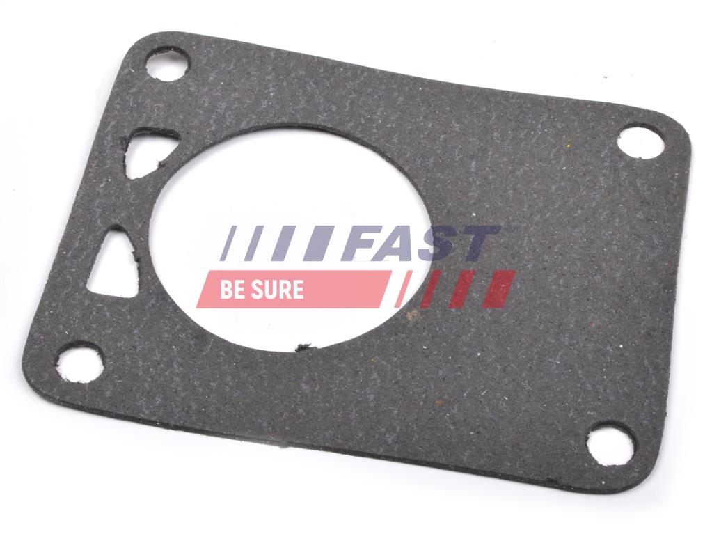 FT49901 VACUUM PUMP SEAL GASKET FIAT DUCATO 02>