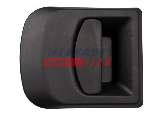 FT94515 DOOR HANDLE EXTERIOR IVECO DAILY 00> FRONT LEFT