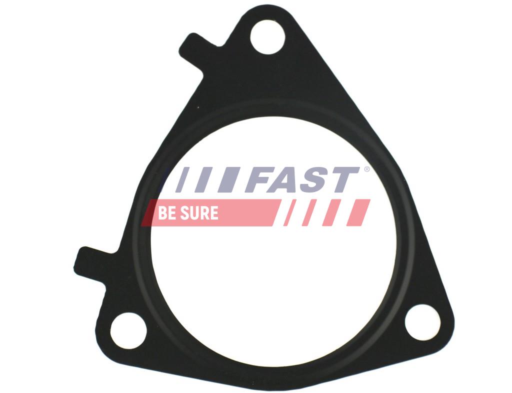 FT49546 EGR VALVE GASKET FIAT DUCATO 06> 3.0