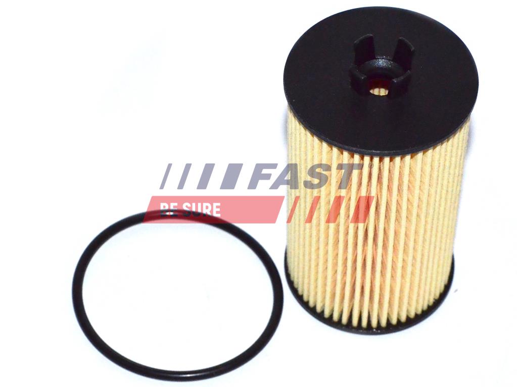 FT38066 OIL FILTER FIAT CROMA 05> 1.8 16V