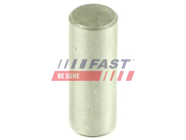 FT62472 PLANET WHEEL PIN IVECO DAILY 00> SHORT