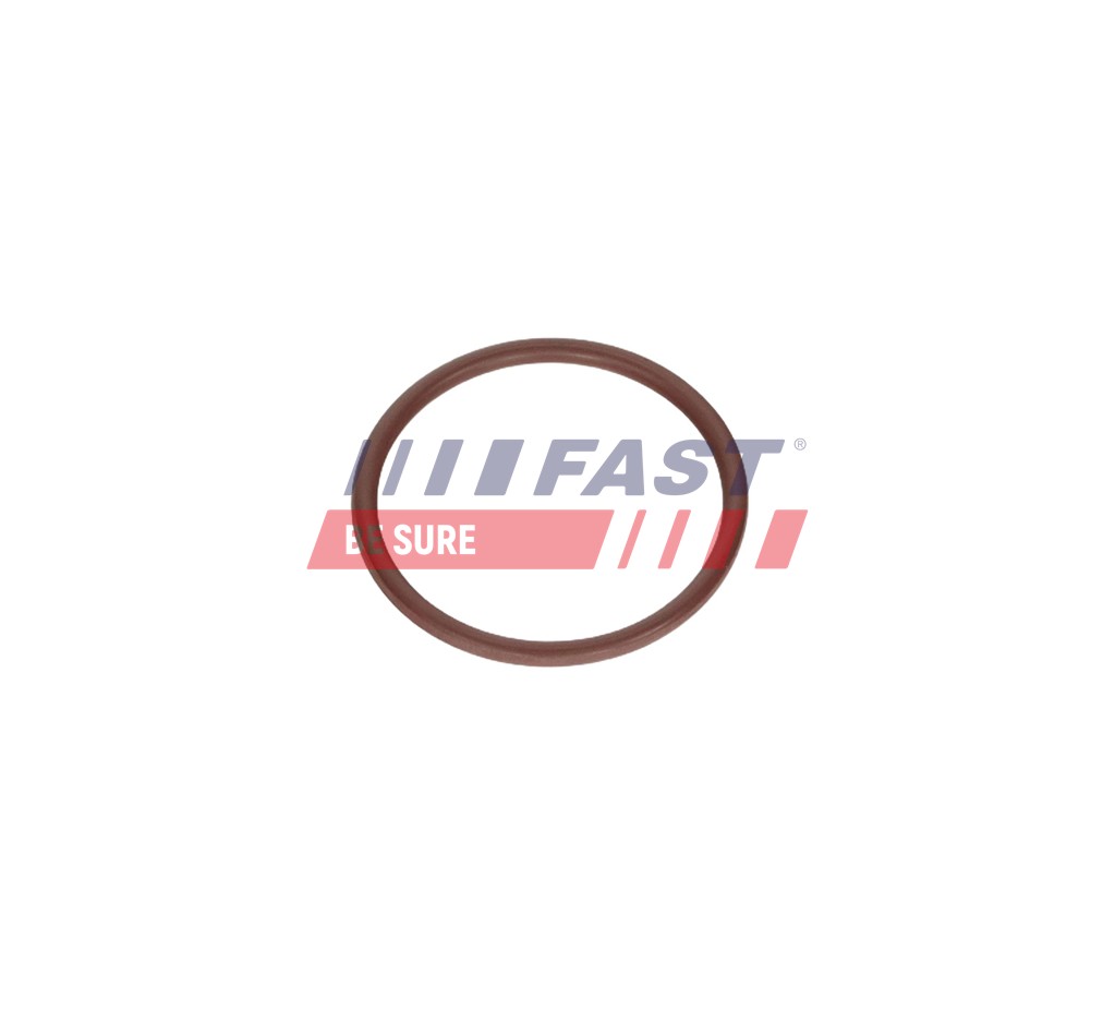 FT12925 GASKET FIAT DUCATO 14>