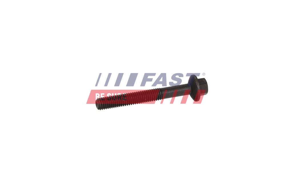 FT12956 INJECTION BOLT RENAULT KANGOO II 08> M8X1,25X60