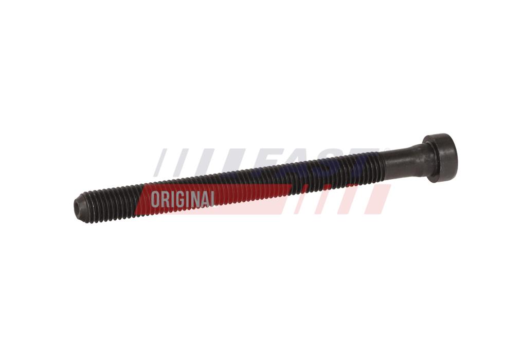FT12953 CYLINDER HEAD SCREWS VW CRAFTER I 06> M12X175X172